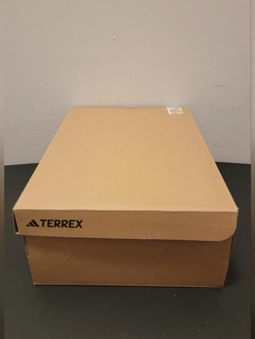 adidas Terrex A×4 Wide GW6900
